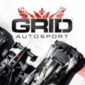 Видео игры GRID Autosport