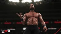 2К покажет геймплей WWE 2K18 на выставке Insomnia 61
