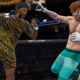 Звезды вместо чисел. EA Sports обновила систему характеристик бойцов для UFC 4